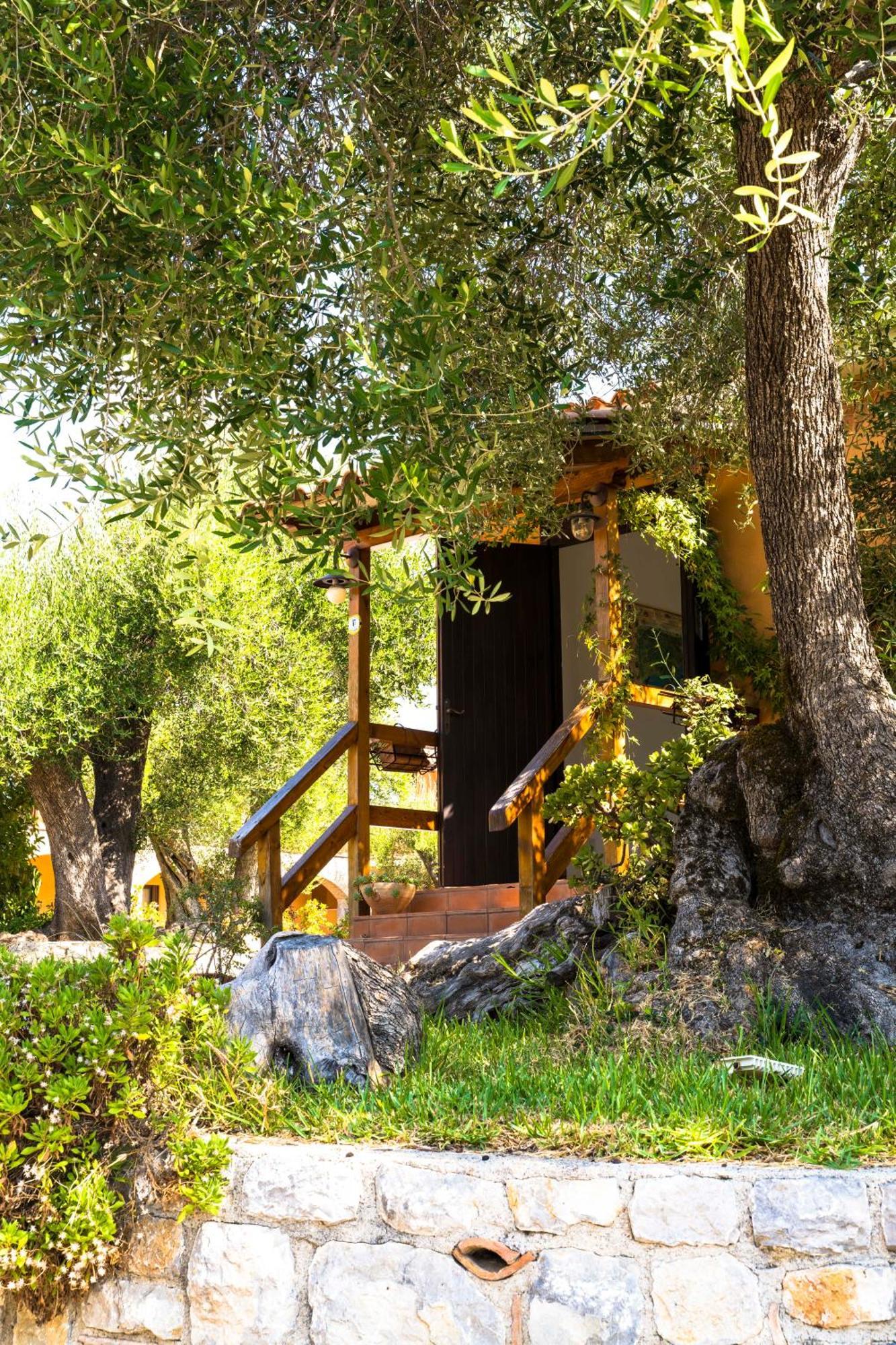 Park Hotel Cilento Marina di Camerota Extérieur photo